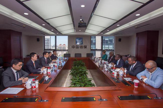 为中非合作搭建信用之桥——中国信保积极参与中非合作论坛北京峰会